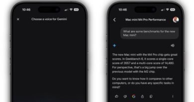 Google Gemini iPhone Uygulaması