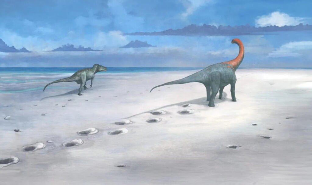 A paleoart reconstruction of the trackways being formed.