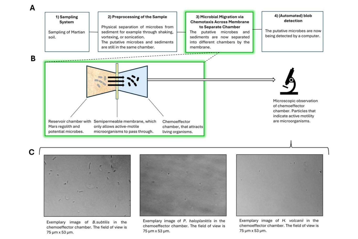 Chemotaxis Method