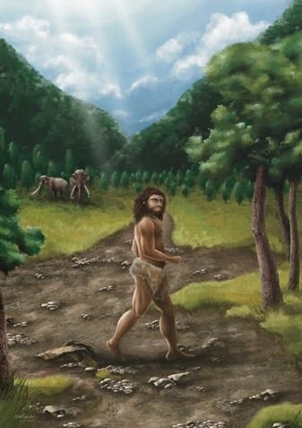 an-image-illustration-highlighting-the-findings-of-this-study An Image Illustration Highlighting The Findings Of This Study