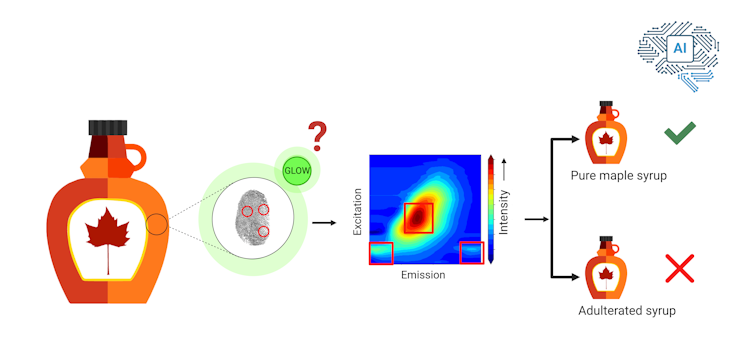 A diagram illustrating how AI is used to differentiate pure from adulterated maple syrup
