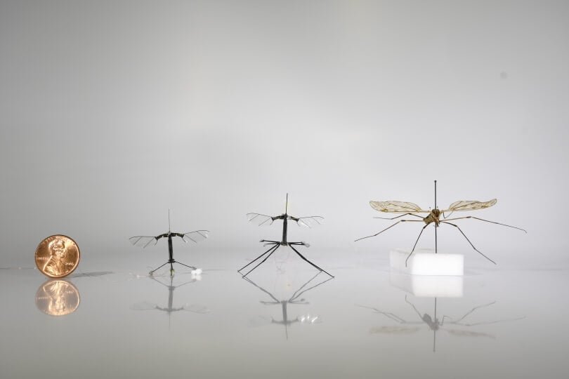 robobee-progression Robobee Progression