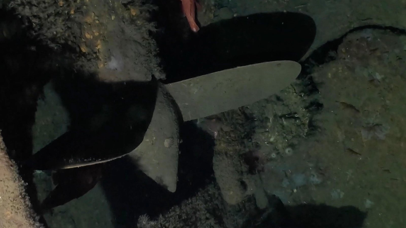 f-1-prop F 1 Prop