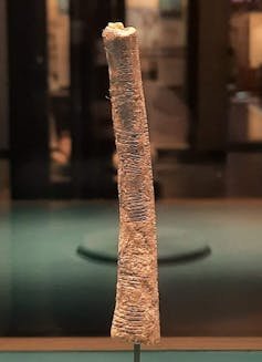 file-20250521-56-jeqnun A long, thin shard of bone with small lines scratched into it.