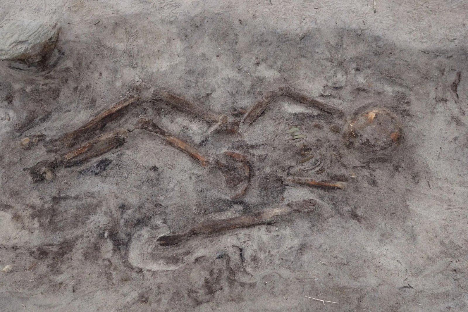 viking-woman-in-boat-grave Viking Woman In Boat Grave