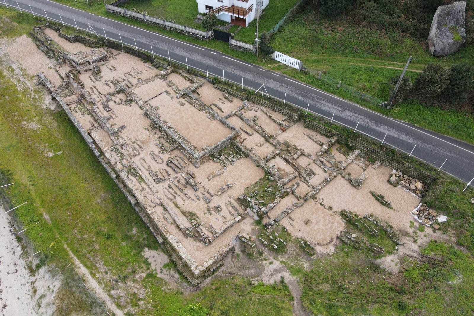 Roman Salt Plant Remains