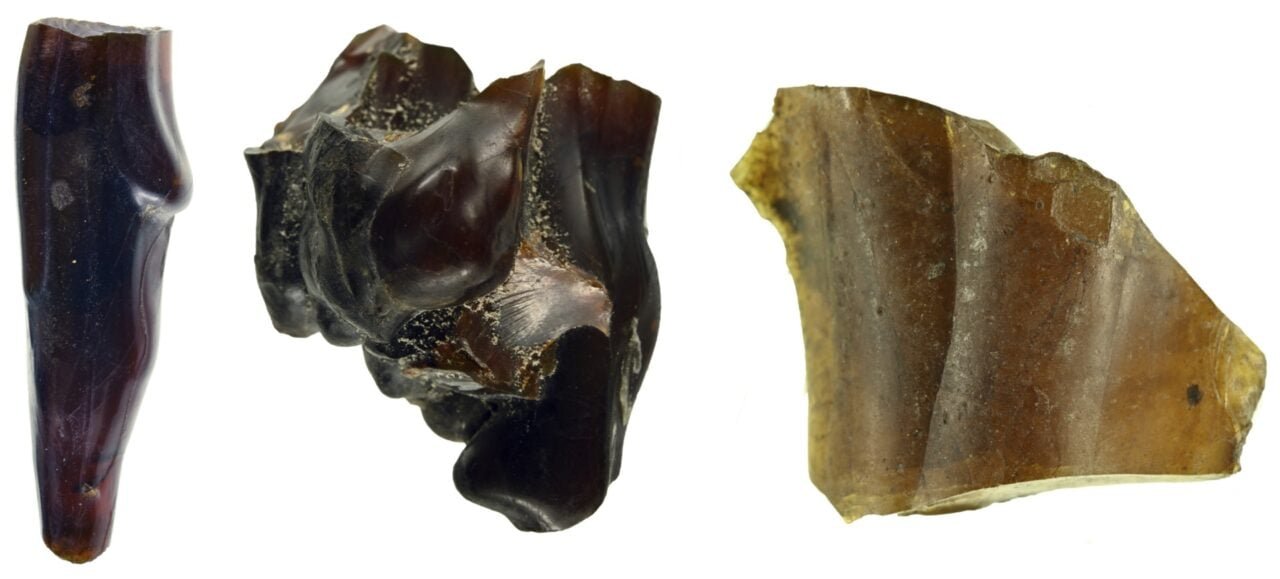 amber-pieces-deposit-south-america-1280x579-1 Amber Pieces Deposit South America